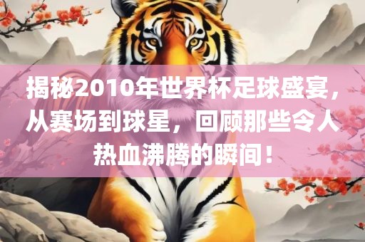 揭秘2010年世界杯足球盛宴，从赛场到球星，回顾那些令人热血沸腾的瞬间！