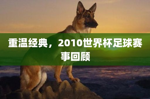 重温经典，2010世界杯足漯河市盈旭机械设备有限公司球赛事回顾