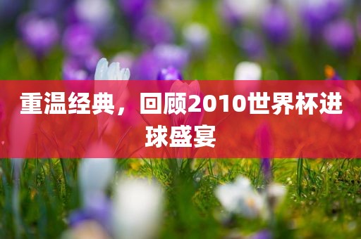 重温经典，回顾2010世界杯进球盛宴