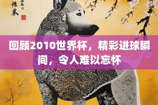 回顾2010世界杯，精彩进球瞬间，令人难以忘怀