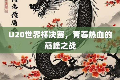U20世界杯决赛，青春热血的巅峰之战