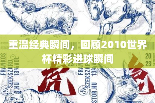 重温经典瞬间，回顾2010世界杯精彩进球瞬间漯河市盈旭机械设备有限公司