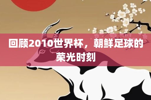 回顾2010世界杯，朝鲜足球的荣光时刻