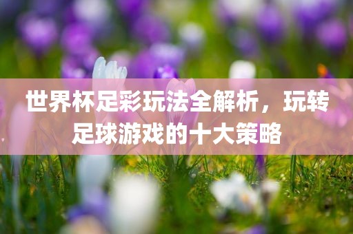世界杯足彩玩法全解析，玩转足球游戏的十大策略漯河市盈旭机械设备有限公司