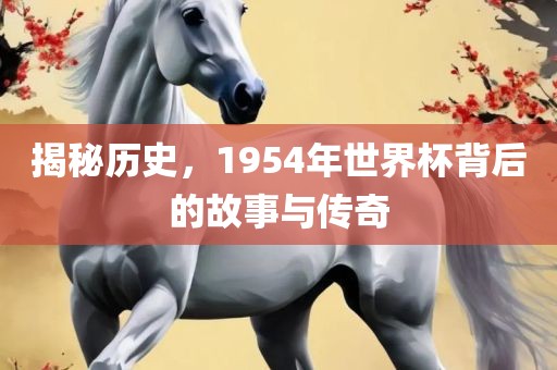 揭秘历史，1954年世界杯背后的故事与传奇漯河市盈旭机械设备有限公司