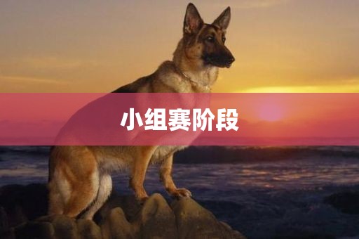shiyijing 第3页