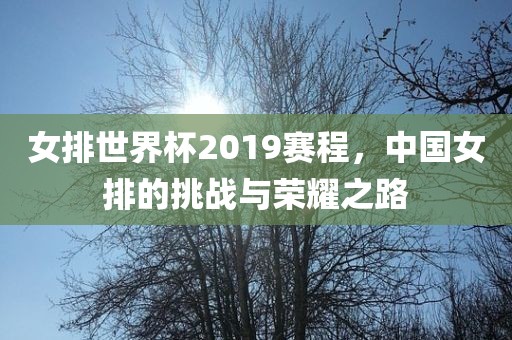 女排世界杯2019赛程，中国女排的挑战与荣耀之路漯河市盈旭机械设备有限公司