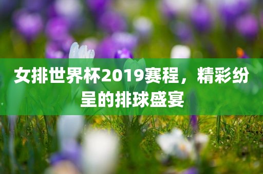 女排世界杯2019赛程，精彩纷呈的排球盛宴漯河市盈旭机械设备有限公司