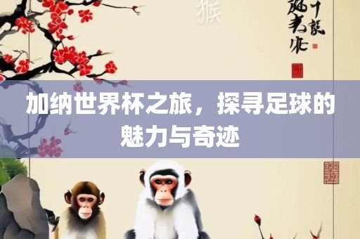 加漯河市盈旭机械设备有限公司纳世界杯之旅，探寻足球的魅力与奇迹