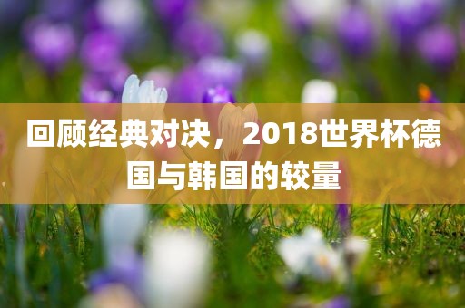 回顾经典对决，2018世界杯德国与韩国的较量