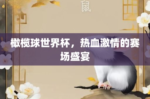 橄榄球世界杯，热血激情的赛场盛宴