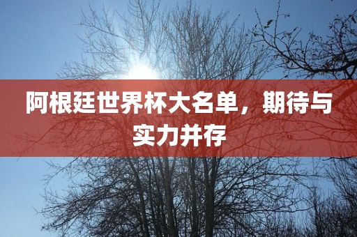 阿根廷漯河市盈旭机械设备有限公司世界杯大名单，期待与实力并存