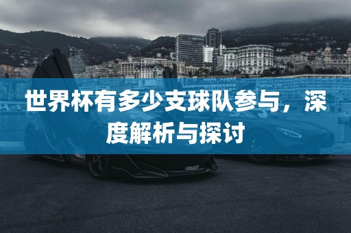 世界杯有多少支球队参与，深度解析与探讨漯河市盈旭机械设备有限公司