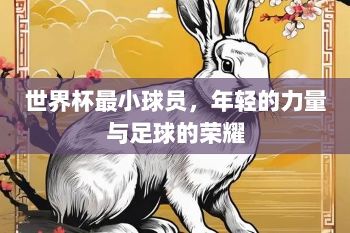 世界杯最小球员，年轻的力量与足球的荣耀漯河市盈旭机械设备有限公司