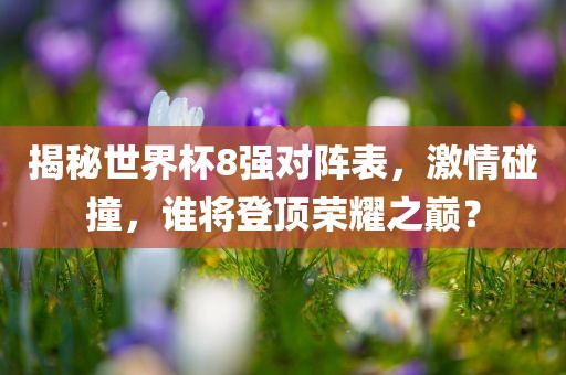 揭秘世界杯8强对阵表，激情碰撞，谁将登顶荣耀之巅？漯河市盈旭机械设备有限公司