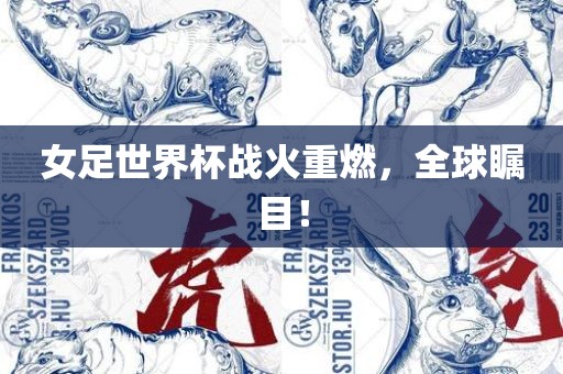 女足世界杯战火重燃，全球瞩目！漯河市盈旭机械设备有限公司
