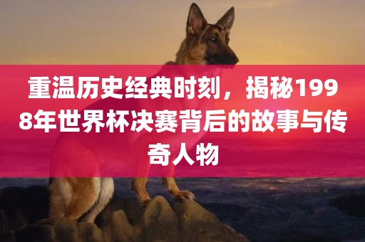 重温历史经典时刻，揭秘1998年世界杯决赛背后的故事与传奇人物漯河市盈旭机械设备有限公司