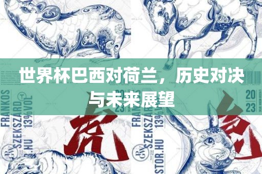 世界杯巴西对荷兰，历史对决与未来展望漯河市盈旭机械设备有限公司