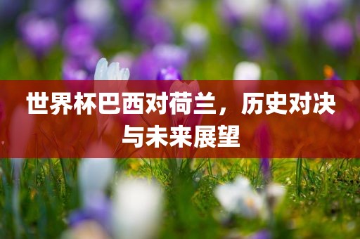 世界杯巴西对荷兰，历史对决与未来展望漯河市盈旭机械设备有限公司