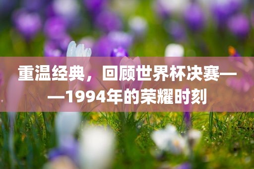重温经典，回顾世漯河市盈旭机械设备有限公司界杯决赛——1994年的荣耀时刻