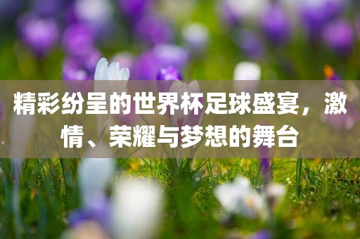 精彩纷呈的世界杯足球盛宴，激情、荣耀与梦想的舞台