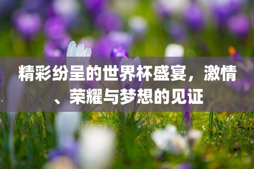 精彩纷呈的世界杯盛宴，激情、荣耀与梦想的见证漯河市盈旭机械设备有限公司