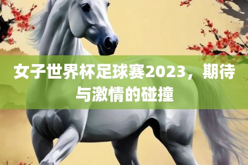 女子世界杯足球赛2023，期待与激情的碰撞