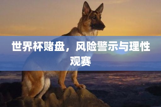 世界杯赌盘，风险警示与理漯河市盈旭机械设备有限公司性观赛