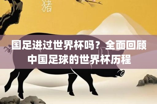 国足进过世界杯吗？全面回顾中国足球的世界杯历程