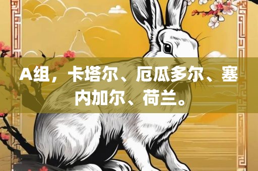 A组，卡塔尔、厄瓜多尔、塞内加尔、荷兰。