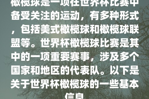 橄榄球是一项在世界杯比赛中备受关注的运动，有多种形式，包括美式橄榄球和橄榄球联盟等。世界杯橄榄球比赛是其中的一项重要赛事，涉及多个国家和地区的代表队。以下是关于世界杯橄榄球的一些基本信息