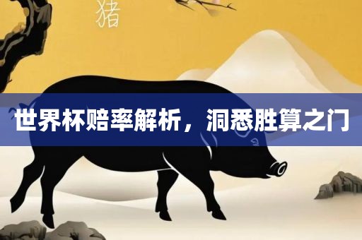 世界杯赔率解析，洞悉胜算之门漯河市盈旭机械设备有限公司