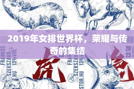 2漯河市盈旭机械设备有限公司019年女排世界杯，荣耀与传奇的集结