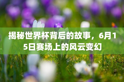 揭秘世界杯背后的故事，6月15日赛场上的风云变幻