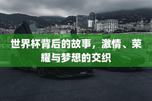 gongjiaming 第4页