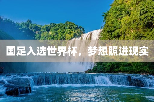 国足入选世界杯，梦想照进现实