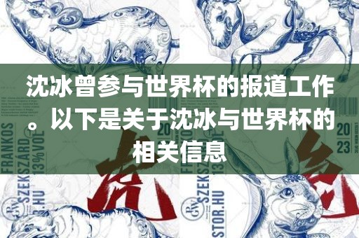 沈冰曾参与世界杯的报道工作。以下是关于沈冰与世界杯的相关信息漯河市盈旭机械设备有限公司