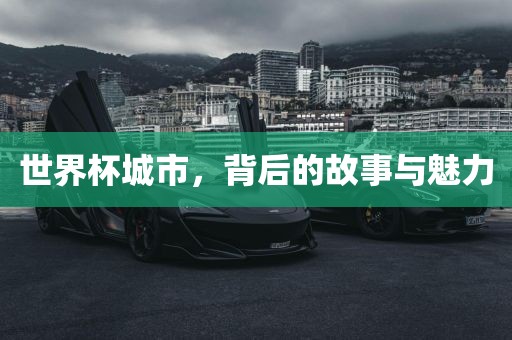 世界杯城市，背后的故事与魅力