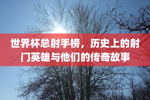 世界杯总射手榜，历史上的射门英雄与他们的传奇故事漯河市盈旭机械设备有限公司