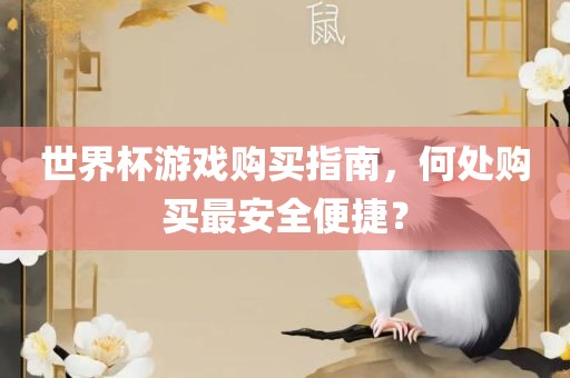 世界杯游戏购买指南，何处购买最安全便捷？