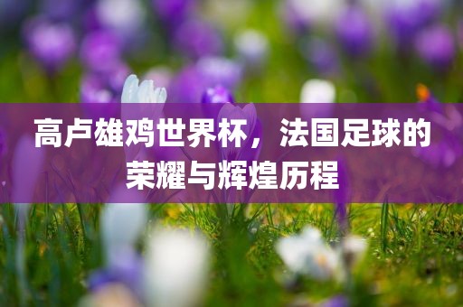 高卢雄鸡世界杯，法国足球的荣耀与辉煌历程漯河市盈旭机械设备有限公司
