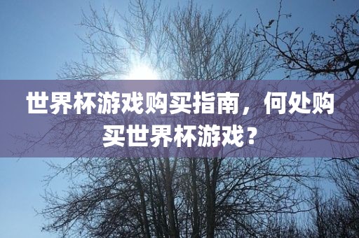 世界杯游戏购买指南，何处购买世界杯游戏？漯河市盈旭机械设备有限公司