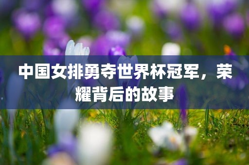 中国女排勇夺世界杯冠军，荣耀背后的故事漯河市盈旭机械设备有限公司