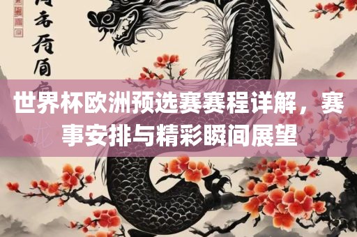 世界杯欧洲预选赛赛程详解，赛事安排与精彩瞬间展望