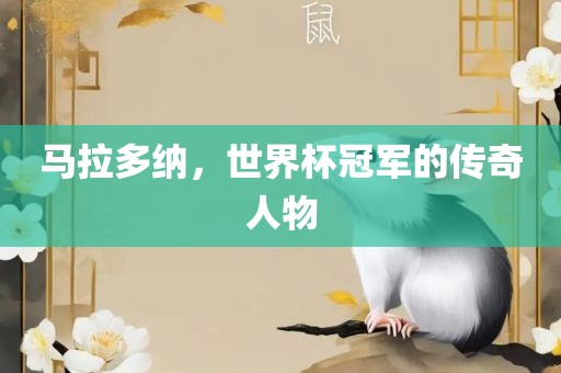 马拉多纳，世界杯冠军的传奇人物