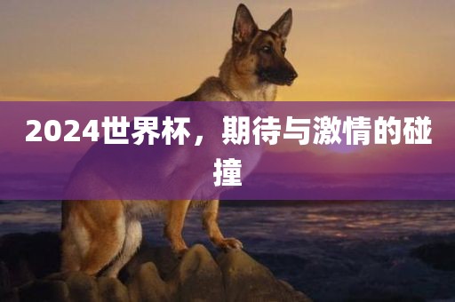 2024世界杯，期待与激情的碰撞漯河市盈旭机械设备有限公司