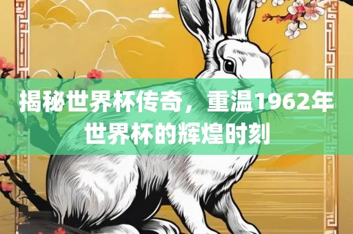 揭秘世界杯传奇，重温1962年世界杯的辉煌时刻漯河市盈旭机械设备有限公司