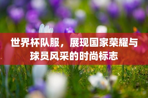世界杯队服，展现国家荣耀与球员风采的时尚标志漯河市盈旭机械设备有限公司