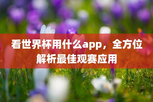 看世界杯用什么app，全方位解析最佳观赛应用漯河市盈旭机械设备有限公司