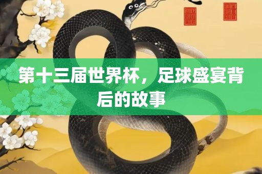 第十三届世界杯，足球盛宴背后的故事漯河市盈旭机械设备有限公司